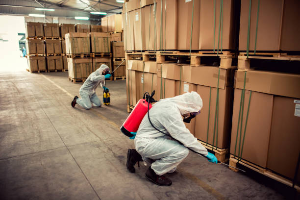 Best Rat Extermination Near Me  in Clifton, NJ