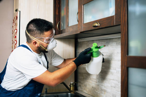 Best Pest Removal Services  in Clifton, NJ