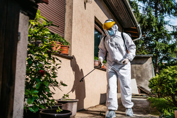 Best Cockroach Control Services  in Clifton, NJ