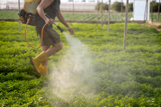 Professional Pest Control in Clifton, NJ