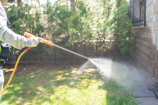 Best Mosquito Control Services  in Clifton, NJ