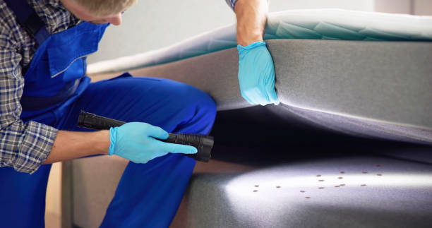 Best Termite Control Services  in Clifton, NJ