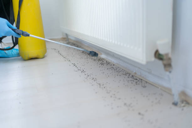 Best Affordable Pest Control Services  in Clifton, NJ